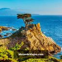 5 lugares para observar aves en Monterey alrededor de la bahía