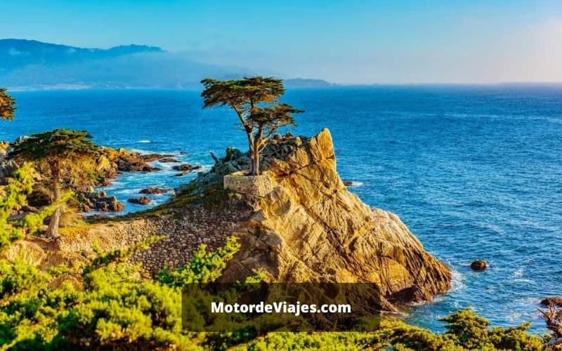 5 lugares para observar aves en Monterey alrededor de la bahía