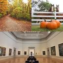 9 Actividades Gratuitas en Saint Louis, Missouri