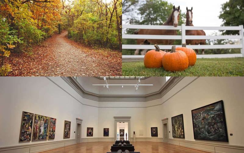 9 Actividades Gratuitas en Saint Louis, Missouri