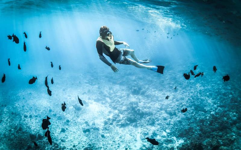 Actividades acuáticas en Punta Cana: Aventuras en el Mar Caribe