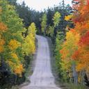 Cómo Pasar un Fin de Semana de Otoño en Flagstaff
