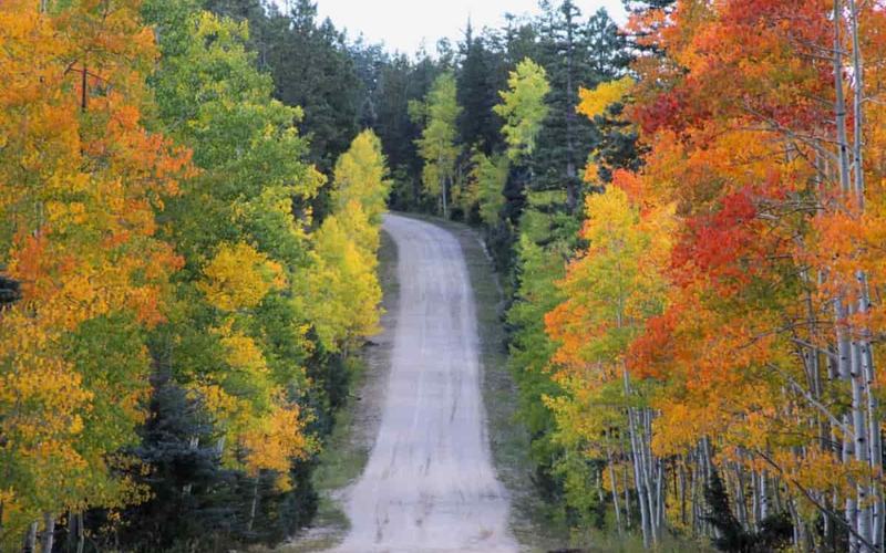 Cómo Pasar un Fin de Semana de Otoño en Flagstaff