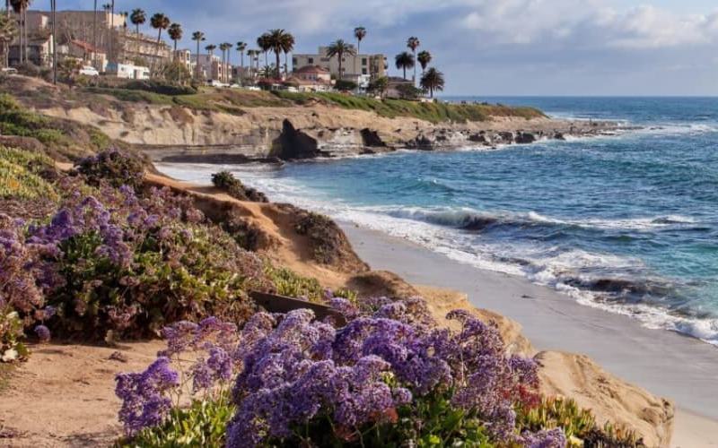 Cómo pasar un día perfecto en La Jolla, California