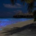 Conoce el Mar de las Estrellas en la Isla de Vadhoo