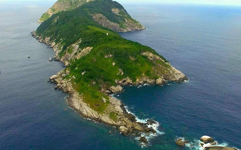 Conozca la Isla de las Serpientes en Sao Paulo: el Lugar Prohibido de Brasil