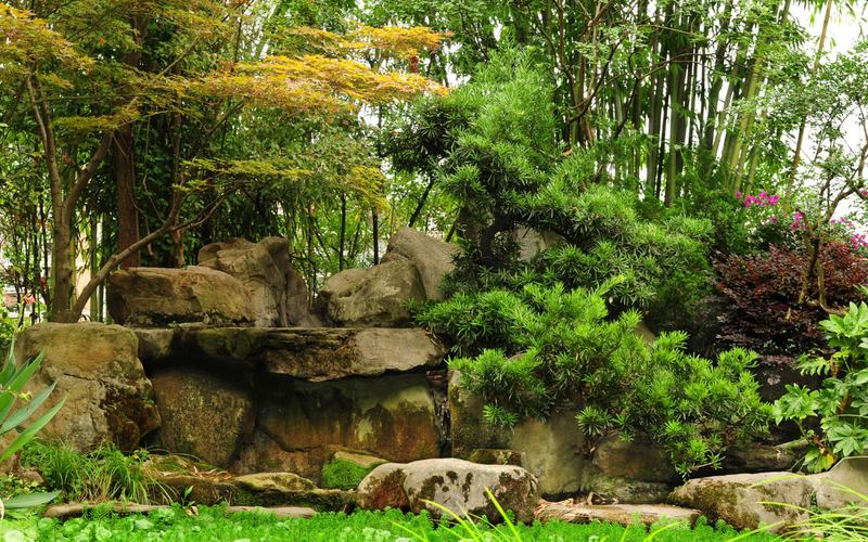 8 Cosas imperdibles en los Kew Gardens de Londres