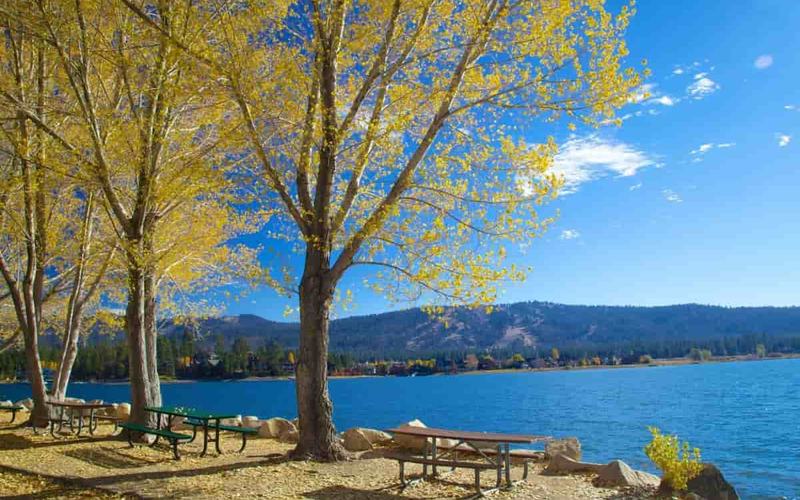 19 Cosas para hacer en Palm Springs que deberías incluir en tu itinerario