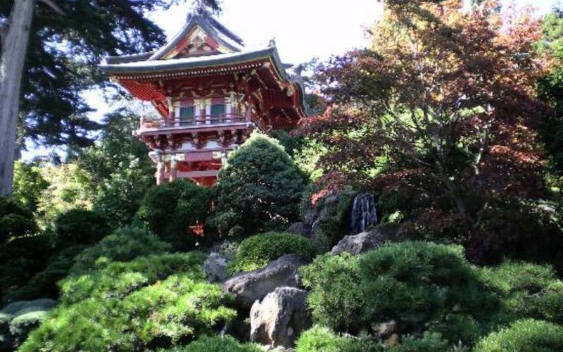 12 Cosas para hacer en el Golden Gate Park