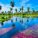 6 Cosas que Debes Saber antes de Visitar Argentina