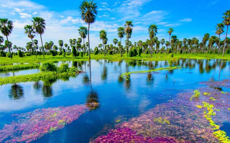 6 Cosas que Debes Saber antes de Visitar Argentina