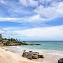 8 Cosas que hacer en Punta Cana ¡Para unas vacaciones inolvidables!