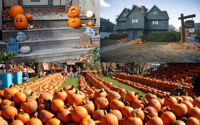 8 Destacados Festivales de Calabazas en Massachusetts