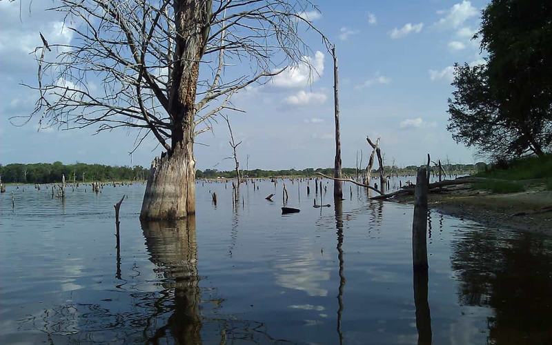 8 Destacados parques estatales cerca de Dallas