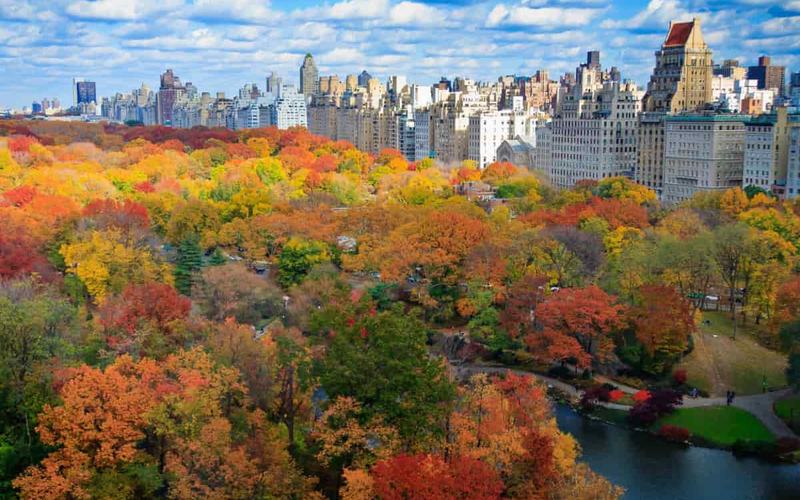 Dónde ver los Colores de Otoño en Nueva York