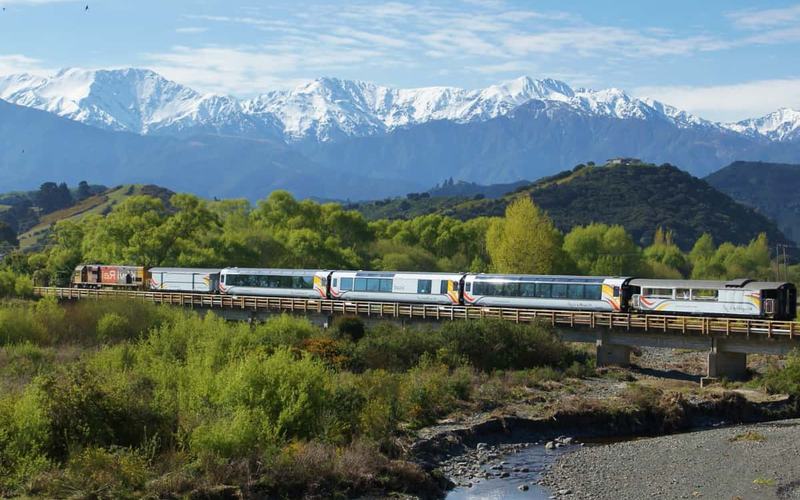 El Sorprendente Viaje en Tren a Nueva Zelanda que debes experimentar