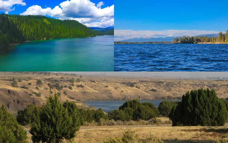 9 Encantadores destinos para acampar en el lago Idaho