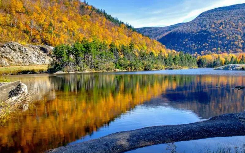 8 Épicos Lugares para Acampar en el Bosque Nacional White Mountain
