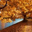 Descubre 10 esenciales actividades para aprovechar el otoño en Maine