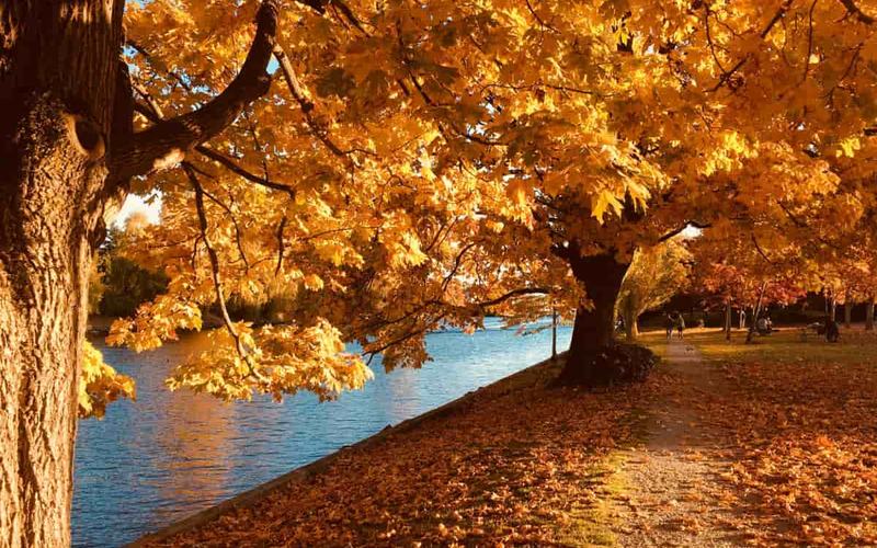 Descubre 10 esenciales actividades para aprovechar el otoño en Maine