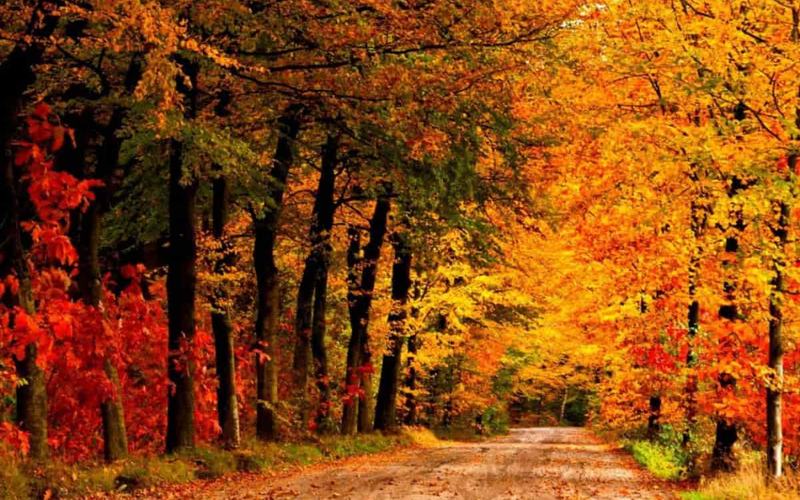 8 Espectaculares Lugares para ver los colores del otoño en Minnesota