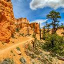 10 Espectaculares caminatas en el Parque Nacional Bryce Canyon
