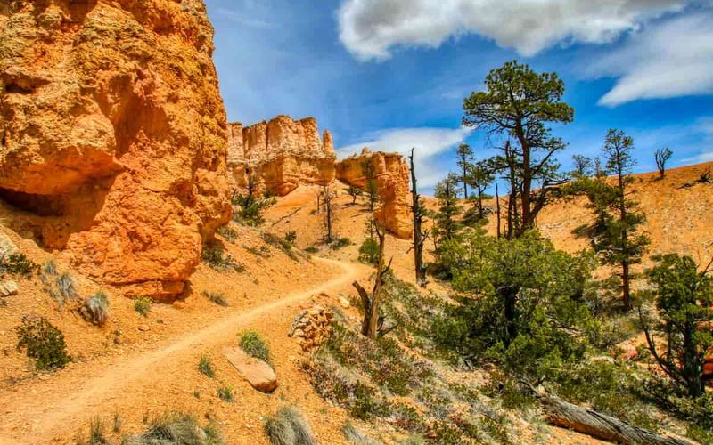 10 Espectaculares caminatas en el Parque Nacional Bryce Canyon