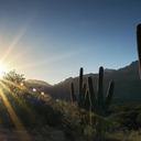 11 Destacadas experiencias en Oro Valley: el rincón escondido de Arizona