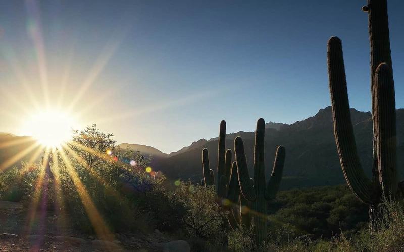 11 Destacadas experiencias en Oro Valley: el rincón escondido de Arizona