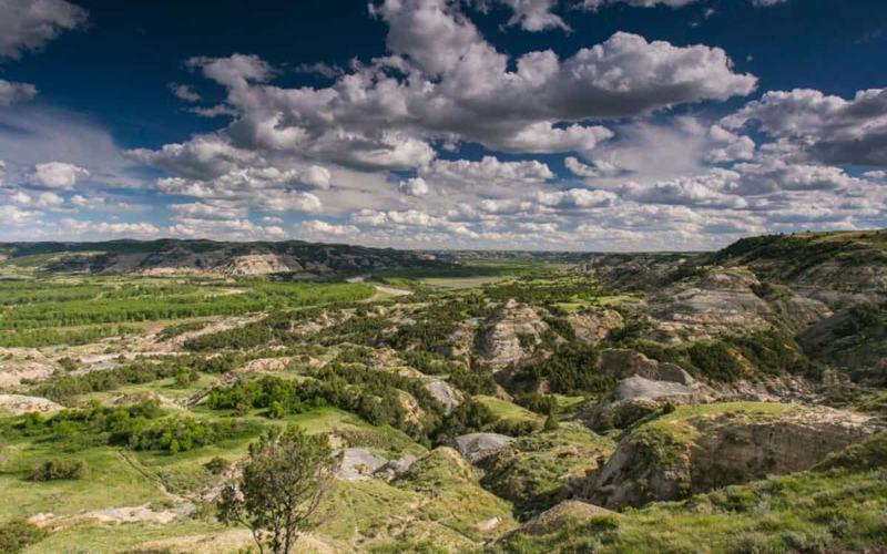 11 Fantásticos Bosques Nacionales en Colorado