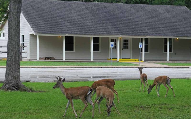 9 Geniales parques estatales cerca de Houston
