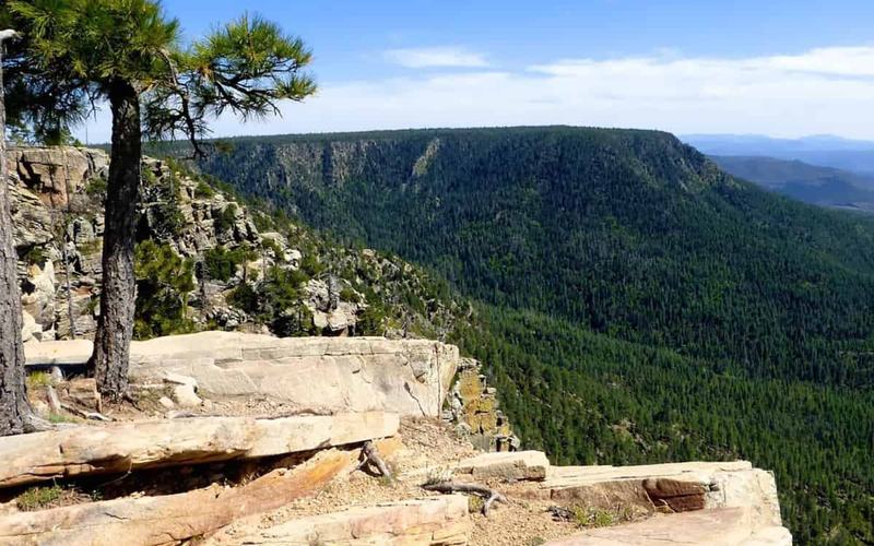 Guía de Senderismo en Mogollon Rim