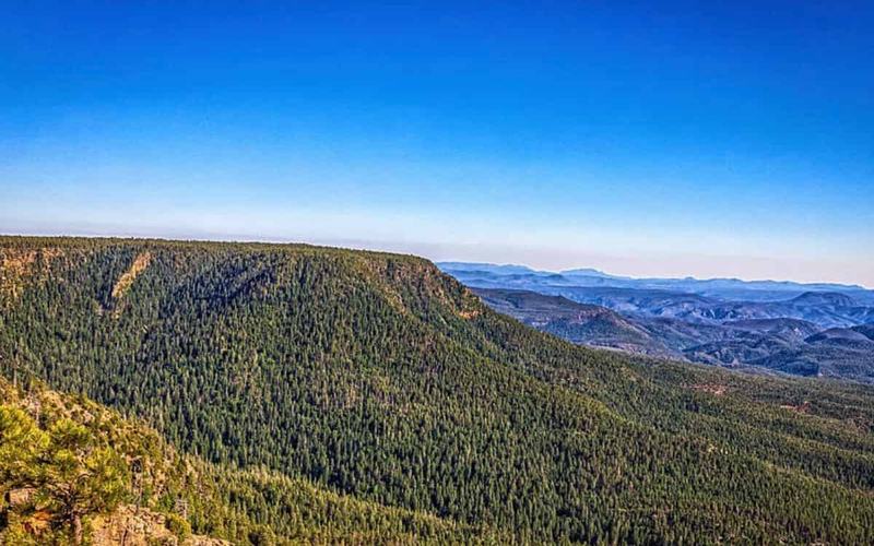 Guía para Disfrutar un Día en Mogollon Rim, Arizona