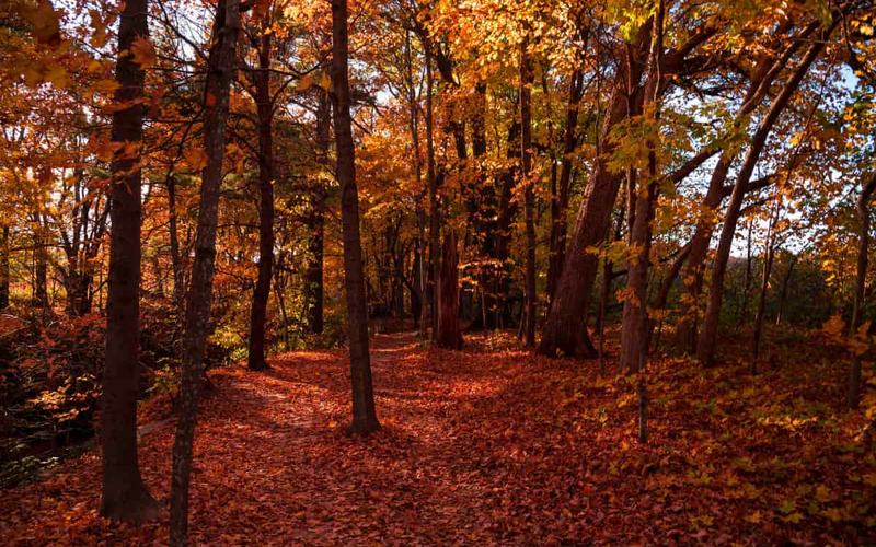 12 Hermosos Lugares para ver los Colores del Otoño en Nuevo México