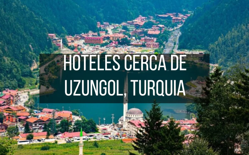 Los 10 mejores Hoteles cerca de Uzungol, Turquía