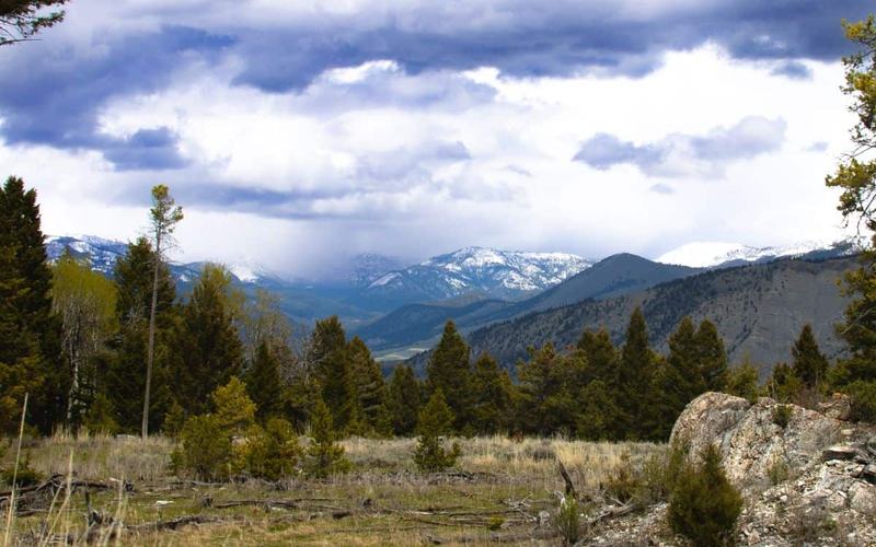 Imperdibles caminatas en el Parque Nacional de Yellowstone