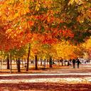 8 Increíbles Lugares para Ver los Colores del Otoño en Arkansas