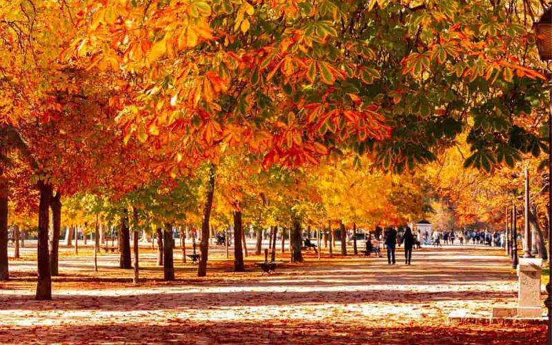 8 Increíbles Lugares para Ver los Colores del Otoño en Arkansas