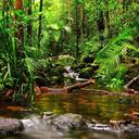 16 Increíbles aventuras en la selva tropical de Panamá