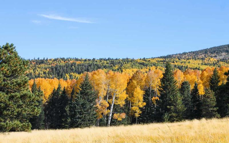 11 Increíbles cosas para hacer en otoño en las Montañas Blancas de Arizona