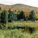 8 Increíbles recorridos panorámicos en Vermont en Cualquier Temporada