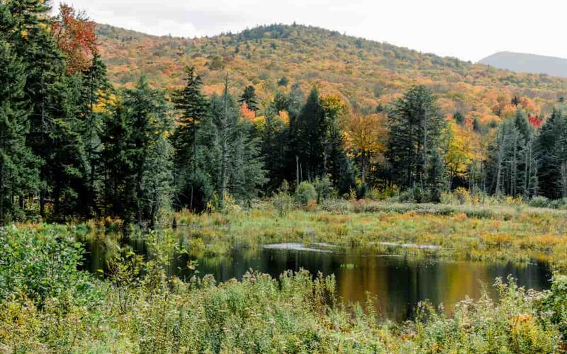 8 Increíbles recorridos panorámicos en Vermont en Cualquier Temporada