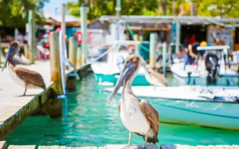 9 Pueblos de playa en Florida que debes visitar por su belleza extraordinaria