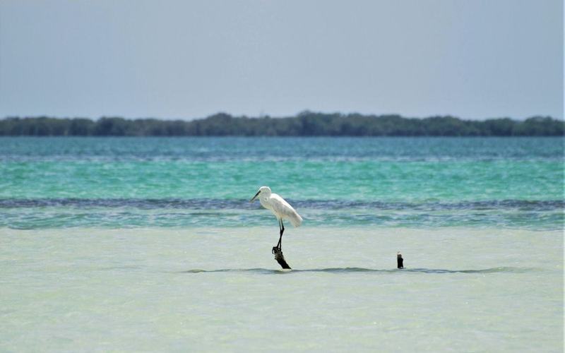 25 Islas del mundo para disfrutar unas vacaciones económicas