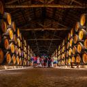 Los mejores tours portuarios para experimentar en Oporto, Portugal