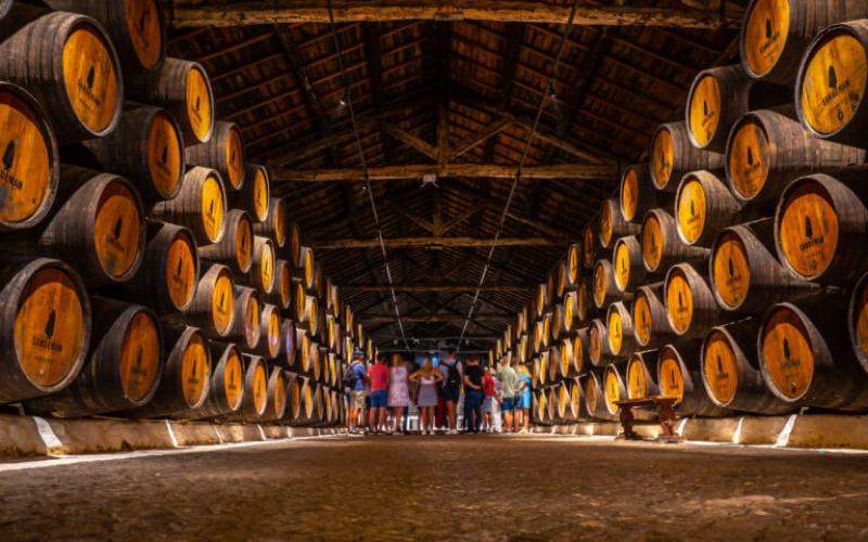 Los mejores tours portuarios para experimentar en Oporto, Portugal