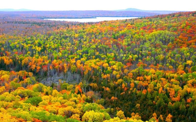9 Lugares asombrosos para ver los Colores del Otoño en Michigan