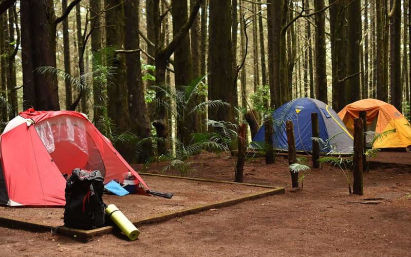 9 Lugares para Acampar Gratis en Oregon