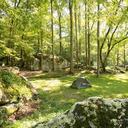 8 Lugares para Acampar en el Bosque Nacional Nantahala