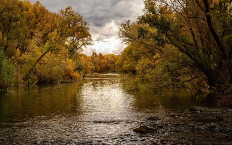 7 Lugares para VER los Colores de Otoño en Arizona